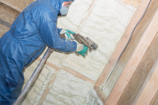 Types of Insulation We Offer in Summerville, SC